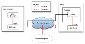 Tunnelling-network-diagram.png